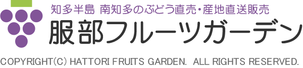 知多半島南知多美浜町のぶどう直売・産地直送販売 服部フルーツガーデン