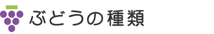 ぶどうの種類