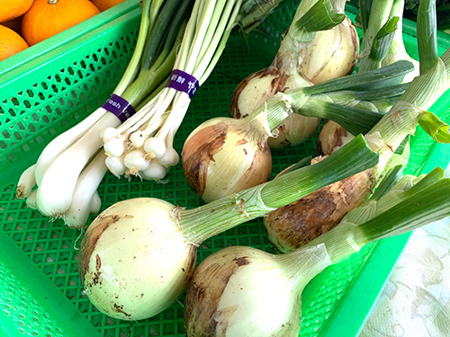 野菜・果物の販売