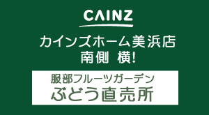 カインズホーム美浜店 南側 横！